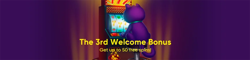 Third deposit bonus at Bao Casino