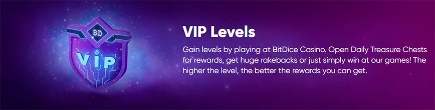 Loyalty Program (VIP Program) at Bitdice Casino 