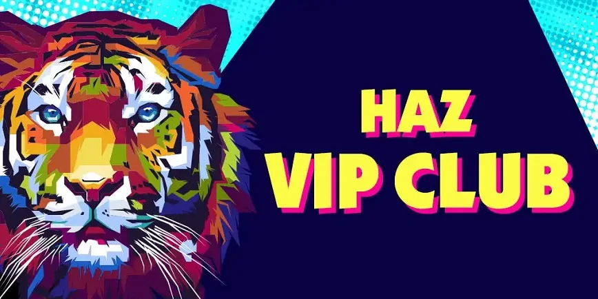 VIP Program at Casino