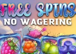 Latest Bonus Free Spin No Wagering Winterberries 2