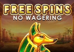 Claim 70 NO WAGER FS in Gods of Giza Slot and Up to 150% Offers