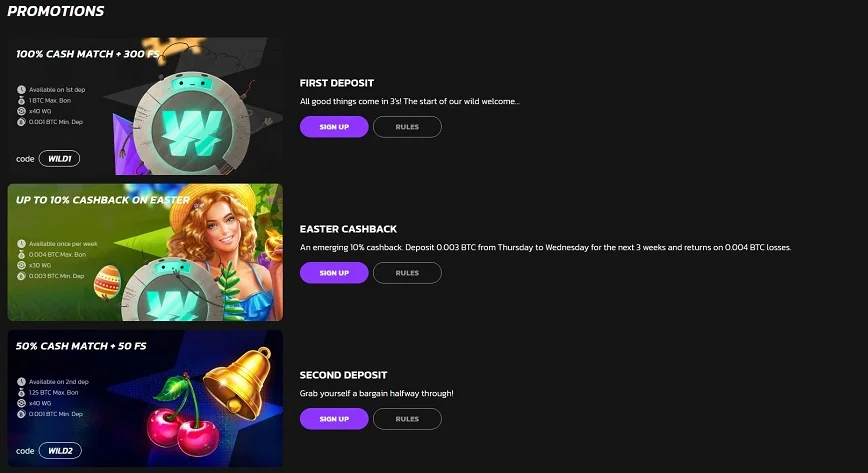 Bonuses and Promotions at WildCoins Casino