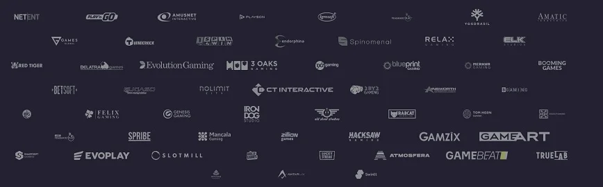 Software Providers