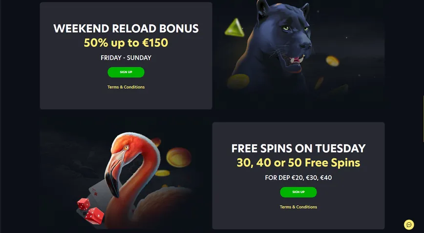 Other Promotions at Lionspin Casino