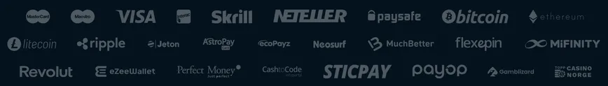 Payment Options at Spinspace Casino