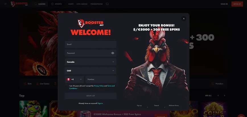 Registration at RoosterBet Casino