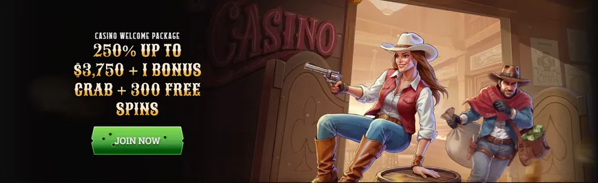 Wildsino Casino Welcome Bonus