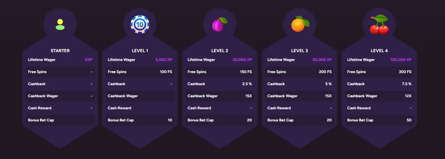 VIP Program at Casiny Casino