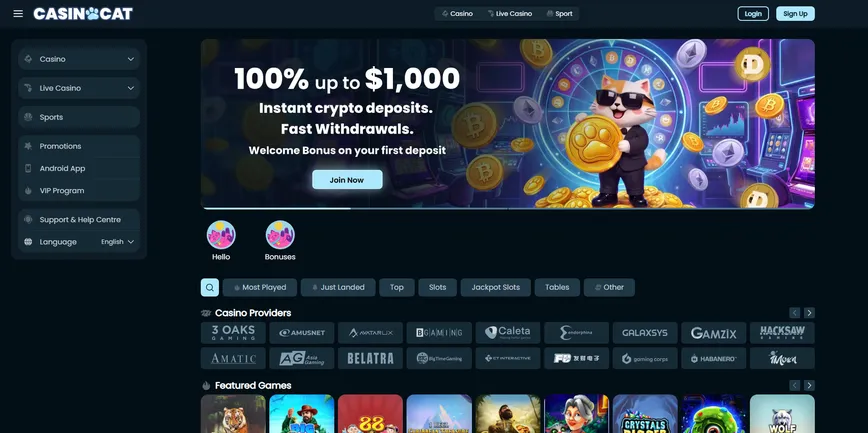 About at Casinocat Casino