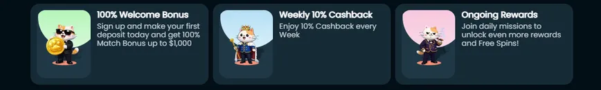Casinocat Bonuses and Promotions